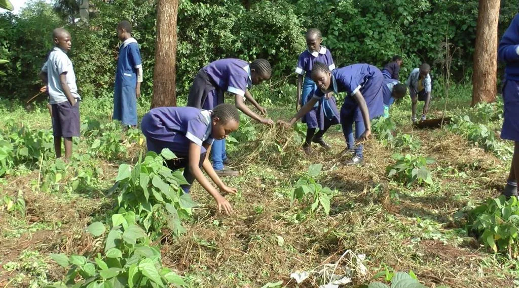 Pupils in blue school uniforms tending a diet garden between tall trees